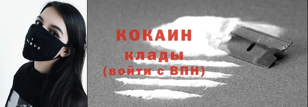 первитин Туринск