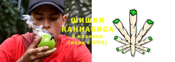 СК Тында