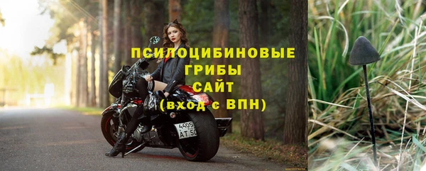 первитин Туринск