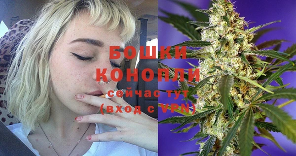 СК Тында