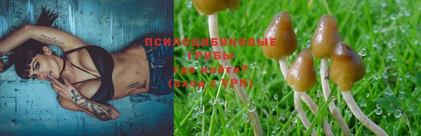 СК Тында