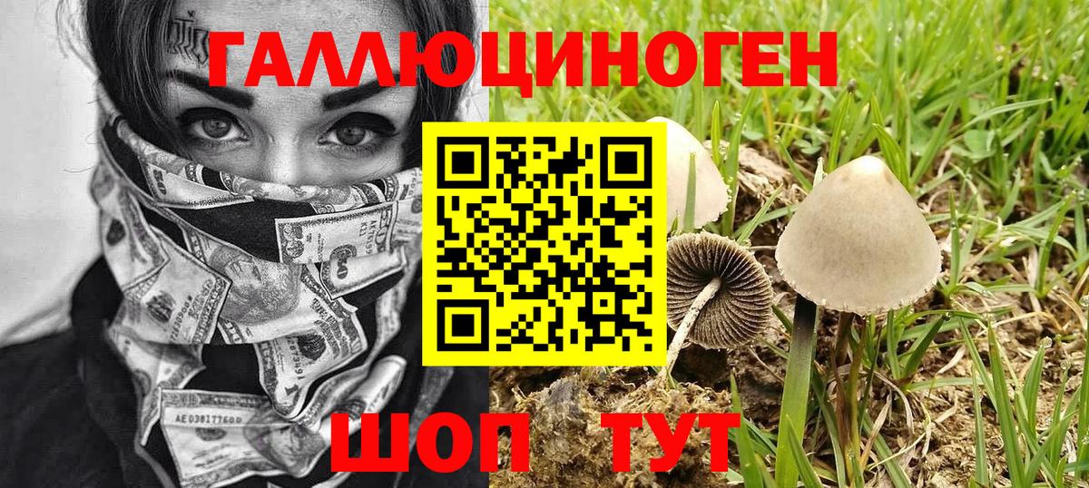 Псилоцибиновые грибы прущие грибы Подольск