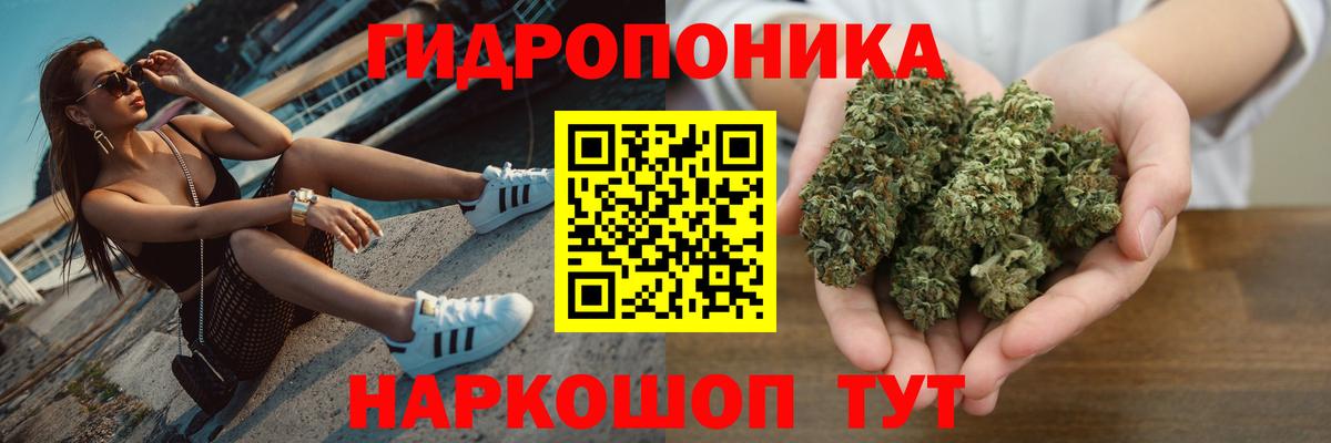 Конопля планчик  Каннабис SATIVA & INDICA  Бошки Шишки AK-47  Подольск  Вход с VPN 